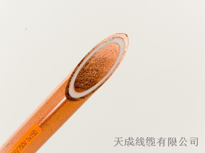 BTTZ防火电缆