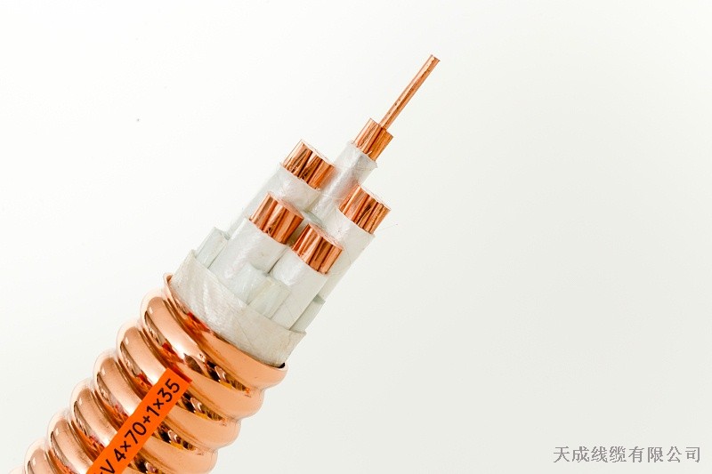 YTTW 4X70+1-防火电缆