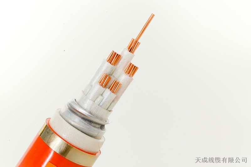 NG-A(BTLY) 3X25+2-防火电缆